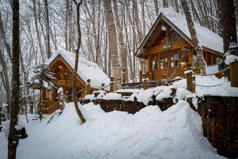 Hokkaido vs Nagano: Which Japan Ski Region Is Right for You?