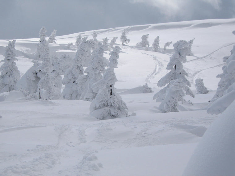 Zao Onsen, Tohoku — Japan ski resort