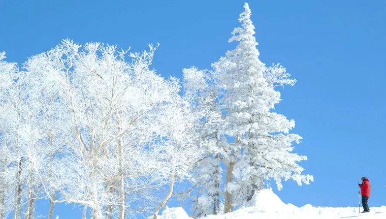 Kiroro, Hokkaido — Japan ski resort